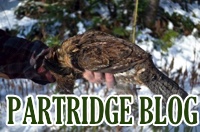 partridge-blog-box-new