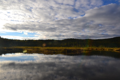 Coon Brook Bog Pittsburg NH