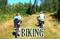 biking-box-new