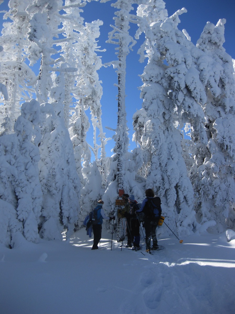 Snowshoeing in Pittsburg, NH